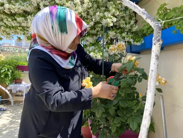 Balkonunu çiçek bahçesine çeviren kanser hastası, yarışmada 1'inci oldu