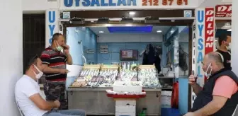 Çanakkale'de balık satışlarında müsilaj ile düşüş; balıkhane bomboş