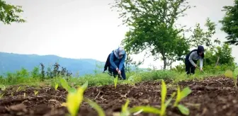 Kırsalın girişimci kadınları, bu projeyle daha da güçlendi