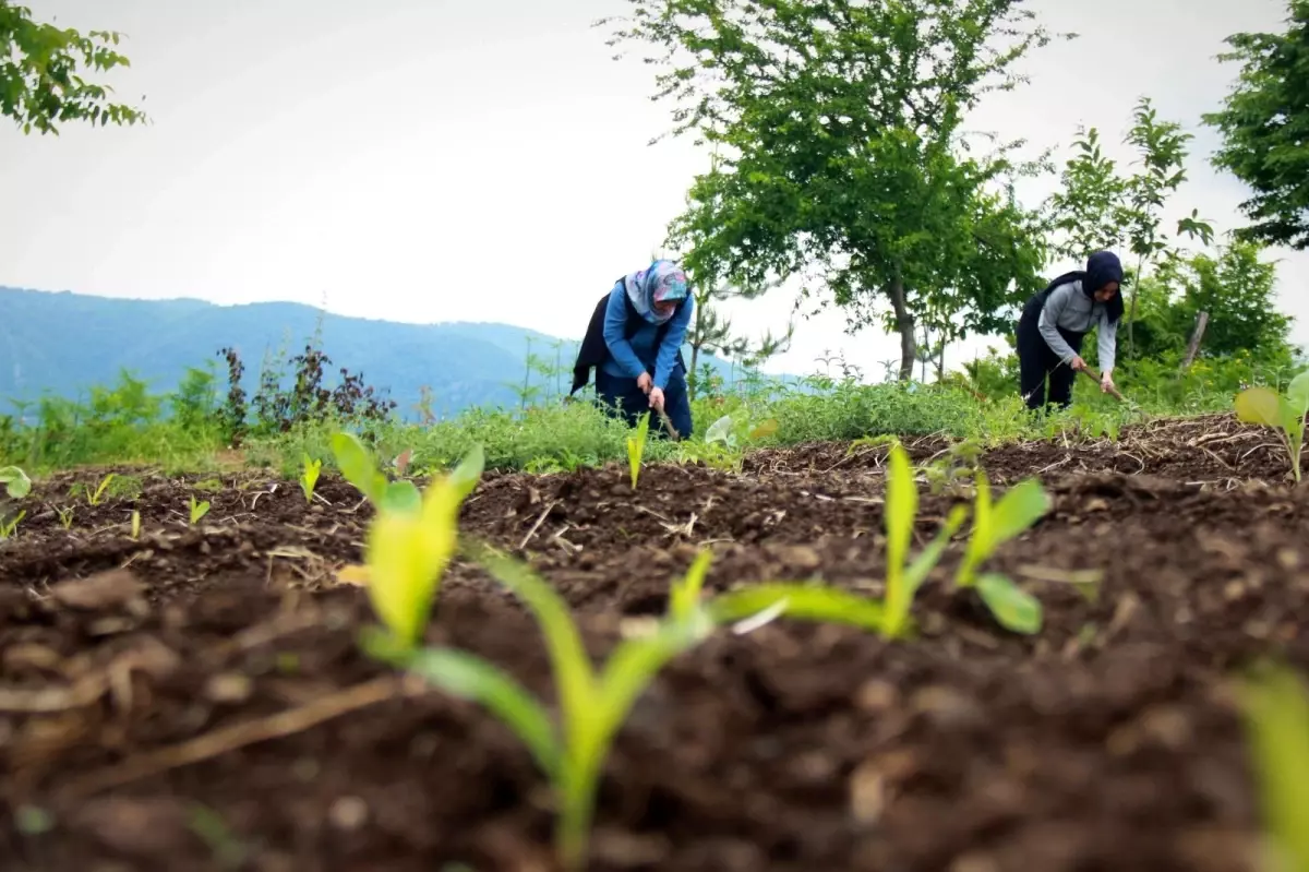 Kırsalın girişimci kadınları, bu projeyle daha da güçlendi