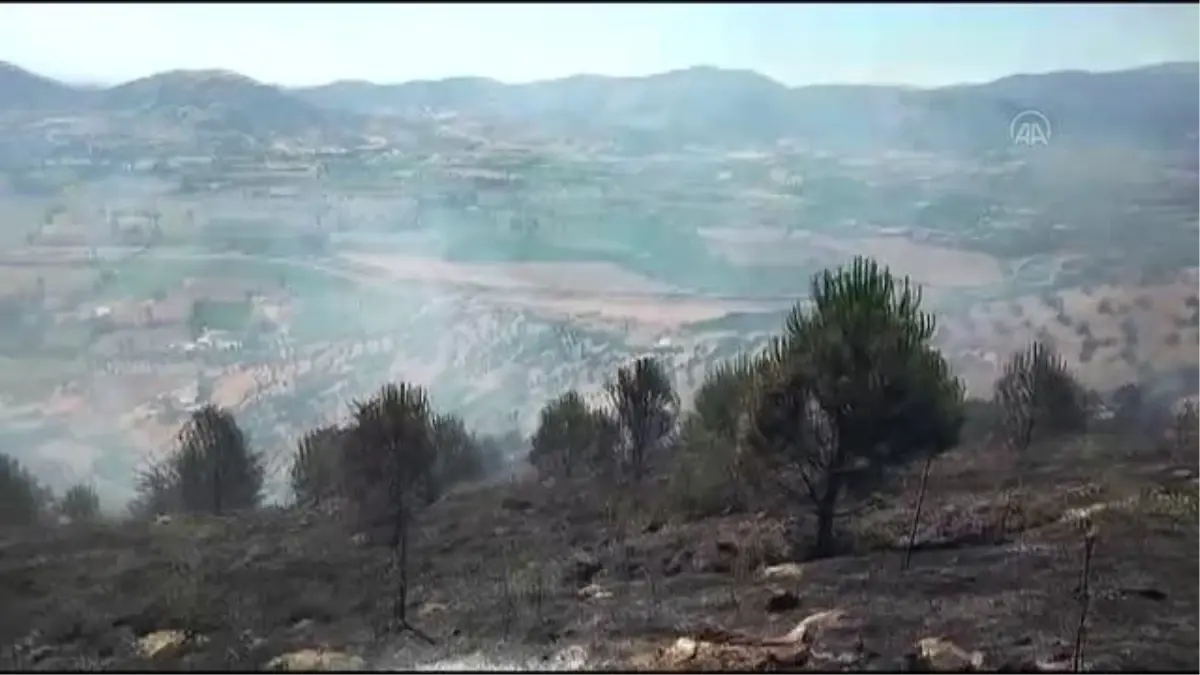 Ormanlık alana sıçrayan yangın kontrol altına alındı