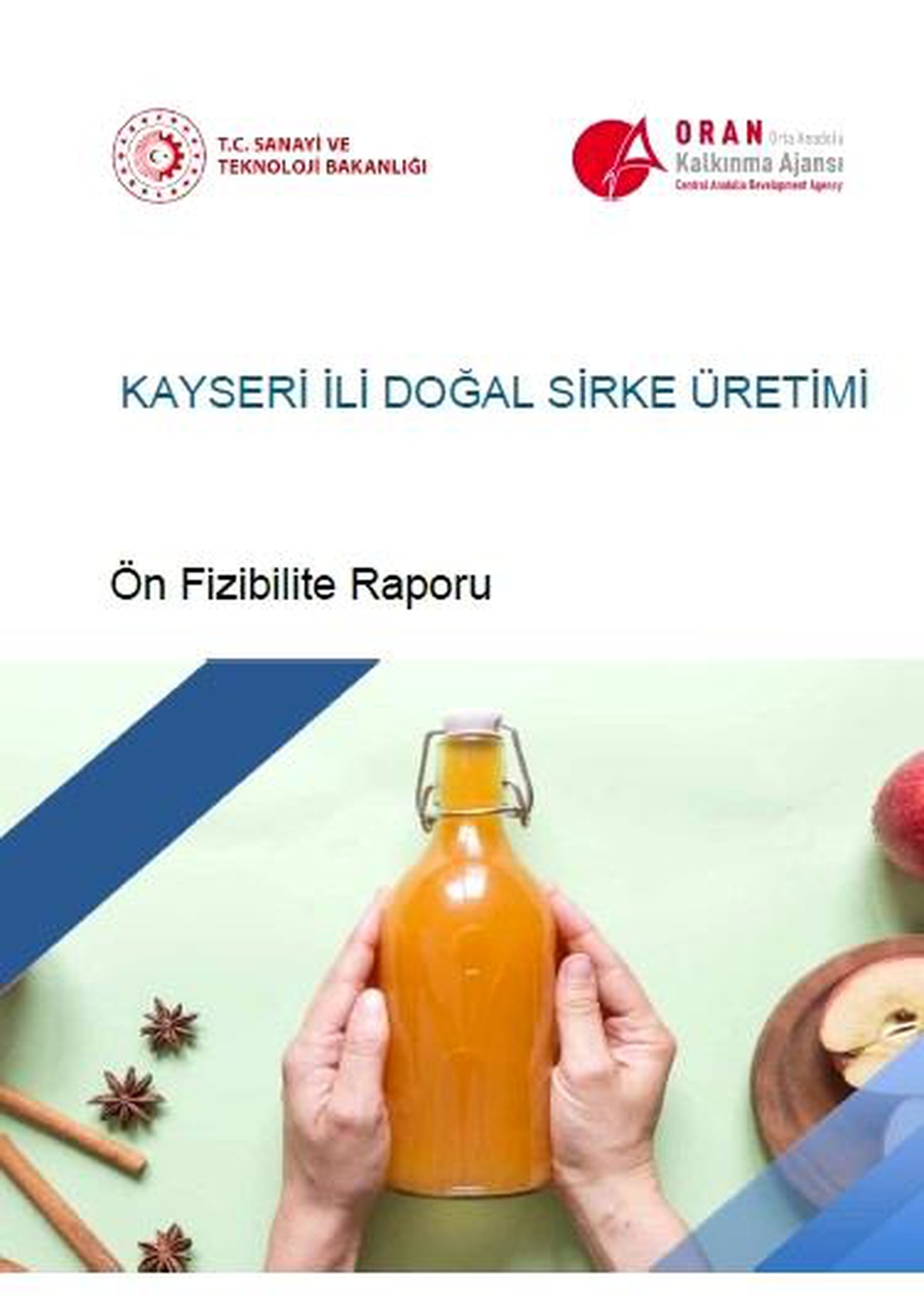 Orta Anadolu Bölgesi\'nin Yatırım Fırsatlarını İçeren 14 Ön Fizibilite Raporu Yayında