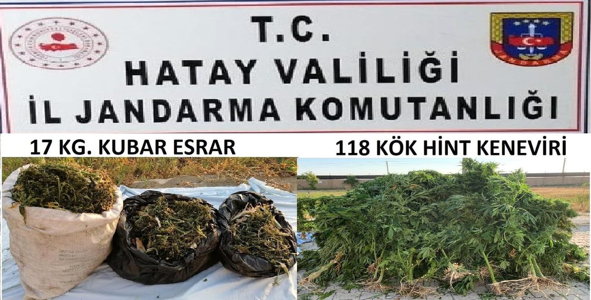 Son dakika haberi! Samandağ\'da jandarmadan uyuşturucu operasyonu