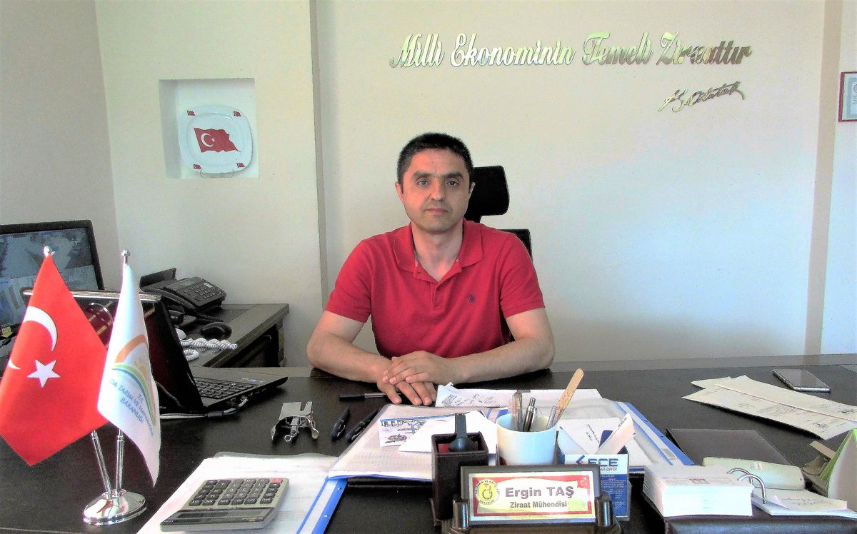 Samsun\'dan kısa kısa