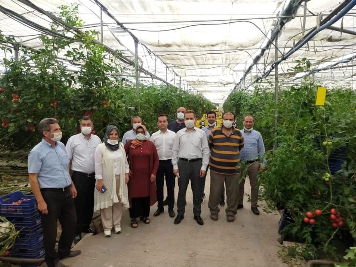 Adana\'da çiftçiler tecrübelerini paylaşıyor