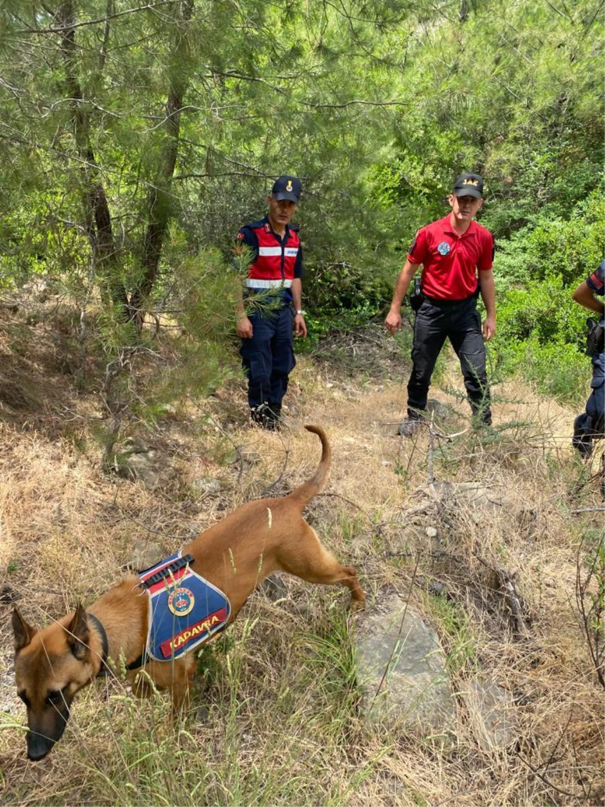 Antalya\'da fotoğraf çekmek için gittiği dağlık bölgede kaybolan kişiyi arama çalışmaları sürüyor