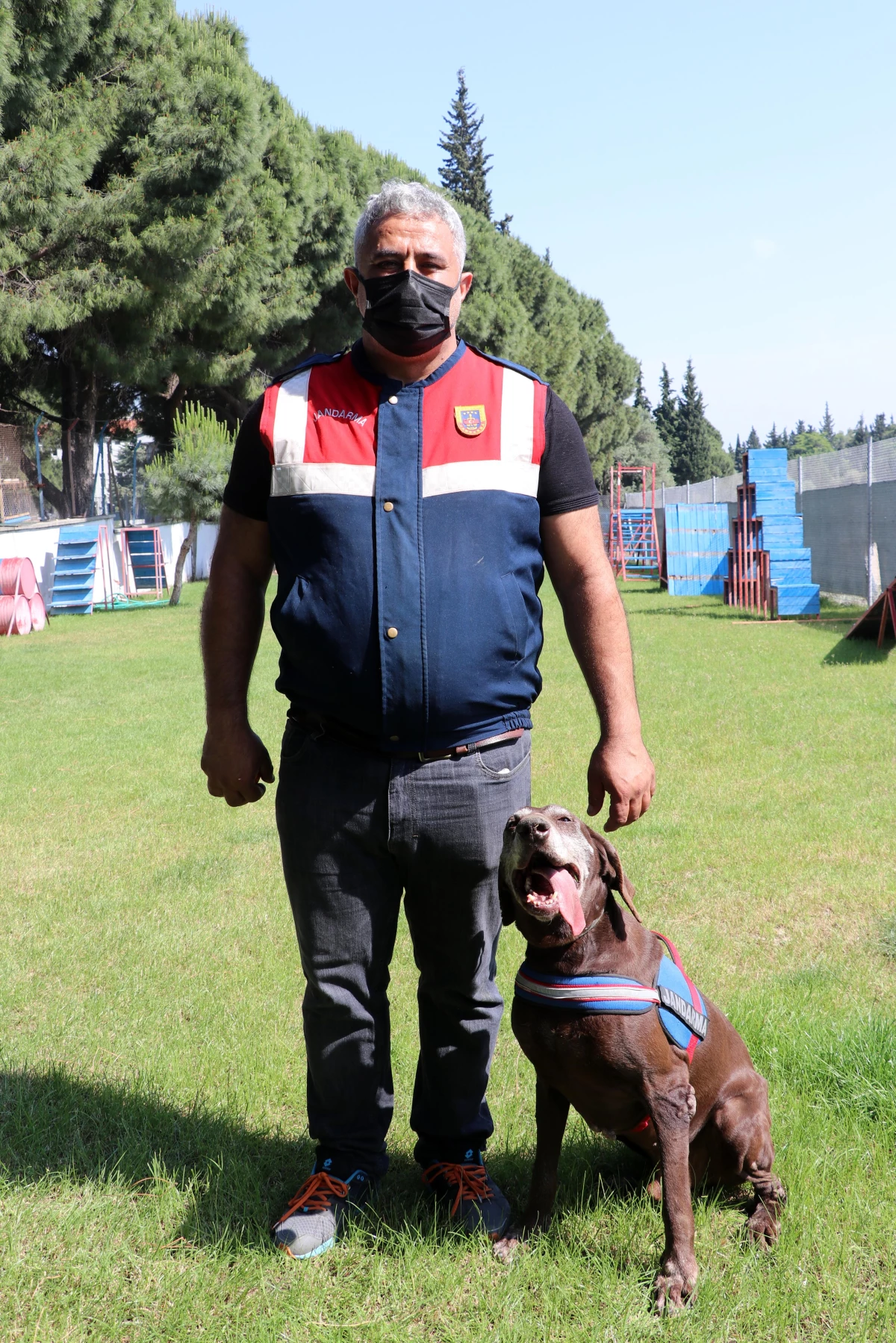 Dedektör köpek Volta\'nın "emekliliği" eğitmeni jandarma personelini üzdü