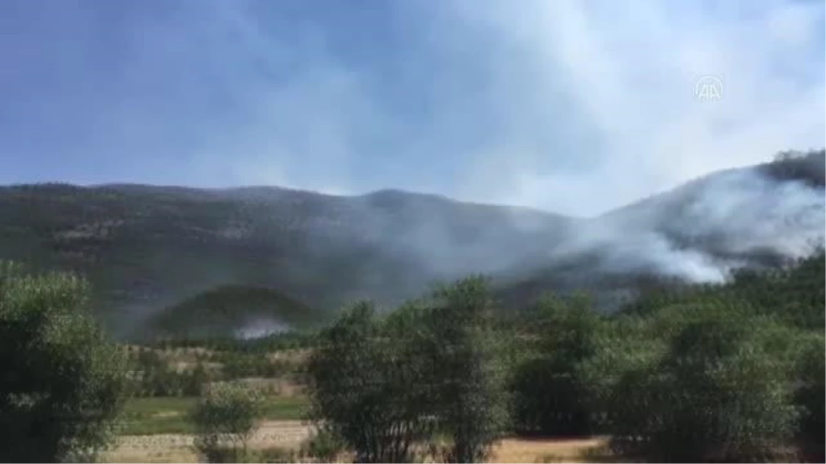 Son dakika haberi! Orman yangınına müdahale ediliyor