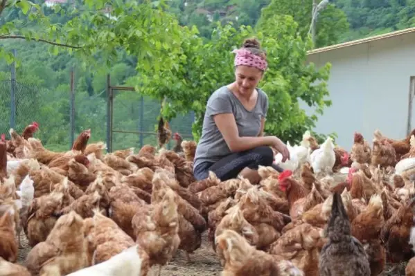 RİZE ÖZLEDİĞİ KÖYÜNE DÖNEN SEVTAP, TAVUK ÇİFTLİĞİ KURDU RİZE ÖZLEDİĞİ KÖYÜNE DÖNEN SEVTAP, TAVUK ÇİFTLİĞİ KURDU