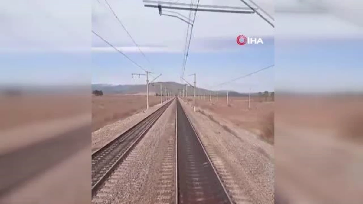 Yük treni koyun sürüsüne çarpmaktan son anda kurtuldu