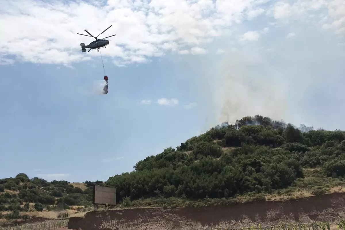 Son dakika haber... Ahmetli\'de çıkan yangında yaklaşık 10 dekar orman ve makilik zarar gördü