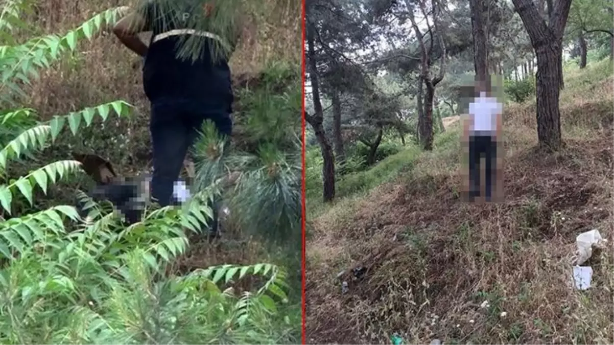 Ailesi her yerde onu arıyordu! Koruda, ağaca asılı halde bulundu