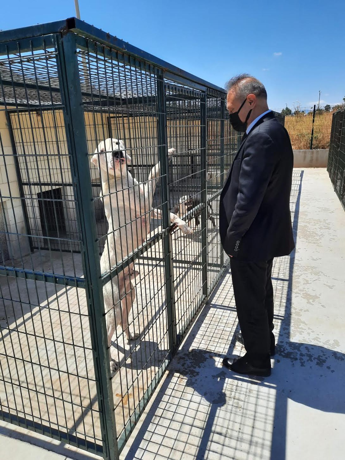 Akhisar hayvan barınağına ziyaret
