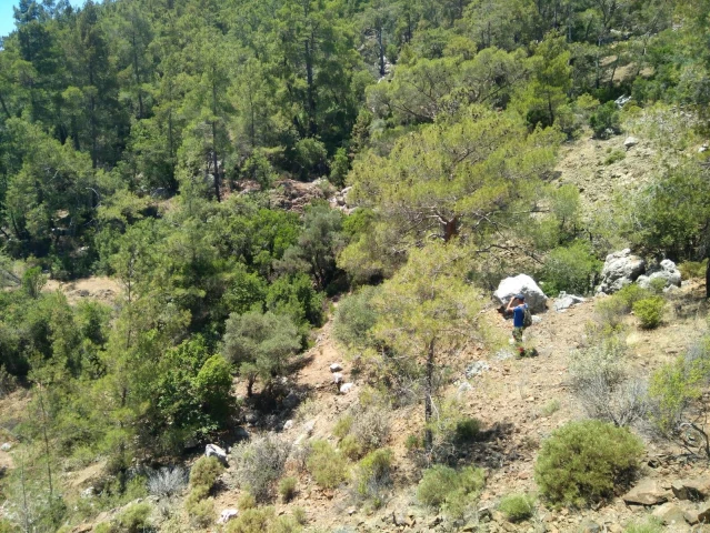 Antalya'da fotoğraf çekmek için gittiği dağlık bölgede kaybolan kişiyi arama çalışmaları sürüyor