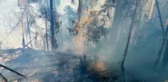 Artvin'de korkutan orman yangını