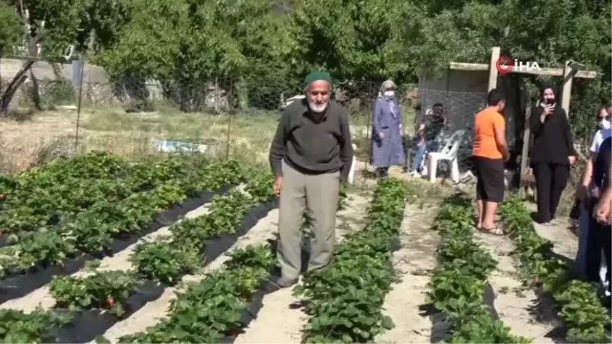 Bu bahçede toplamak ve yemek ücretsiz...Yetiştirdiği ürünleri ikram ediyor