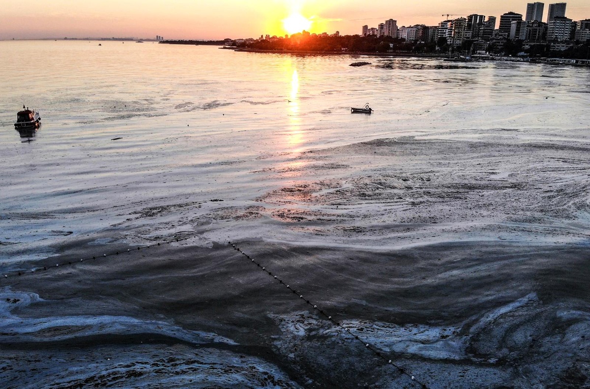 Caddebostan Sahili müsilaj istilası altında