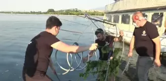 Gençlerin projesi denizi temizleyerek canlı popülasyonunu arttıracak