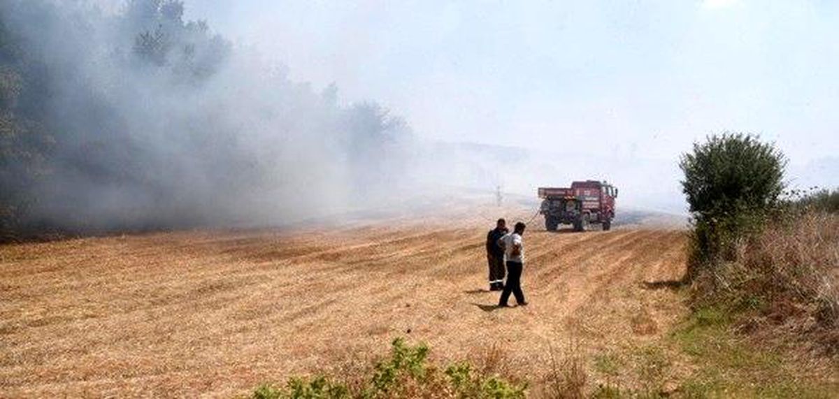 Kanepe hurdasını almak içi ormanı yakıyordu, 155 bin TL para cezasına çarptılırdı