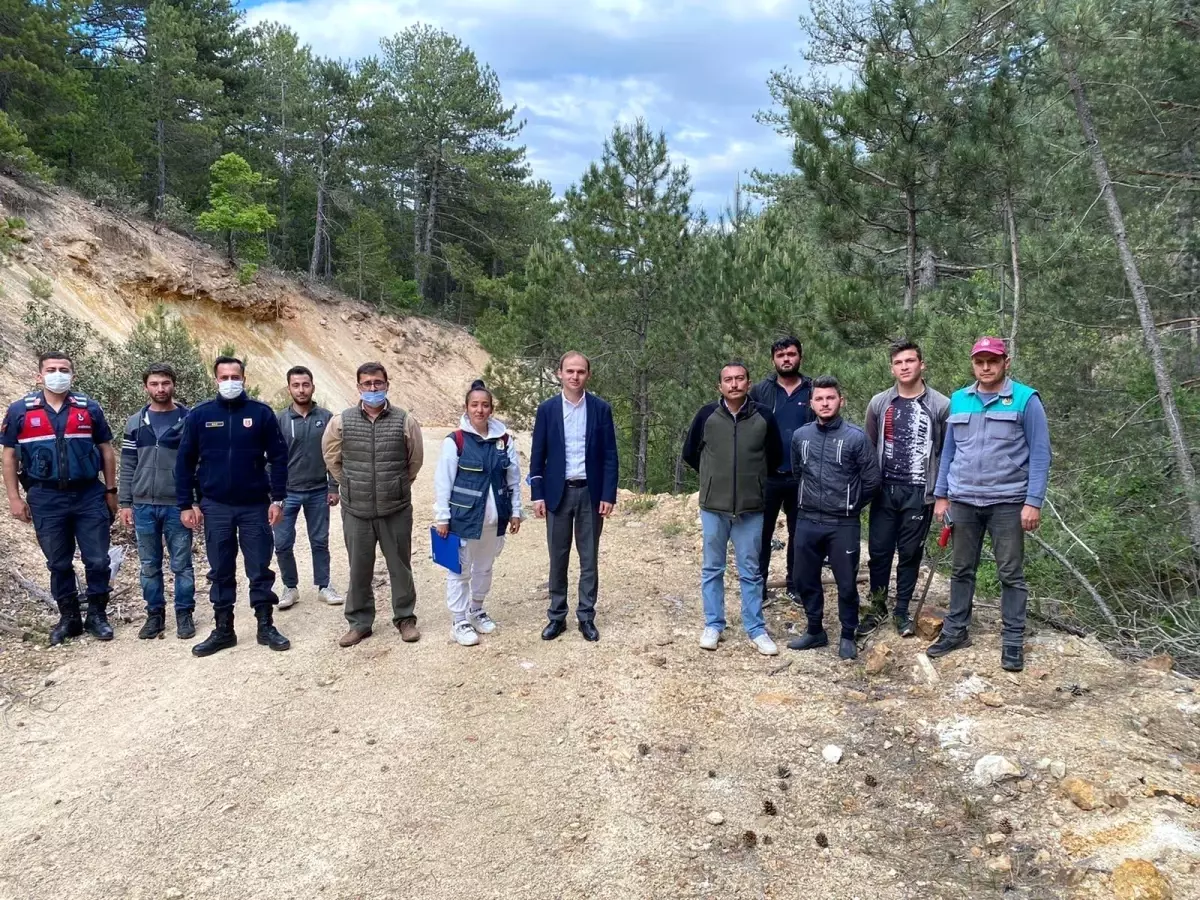 Kaymakam Sak, ağaç damgalama çalışmalarına katıldı