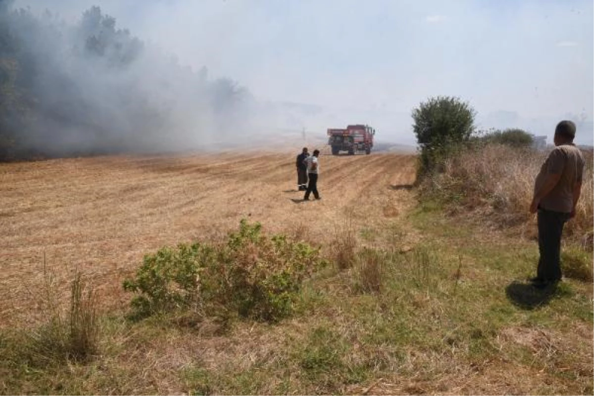 Son dakika gündem: Orman yangınına neden oldu, 155 bin lira tazminat cezası verildi