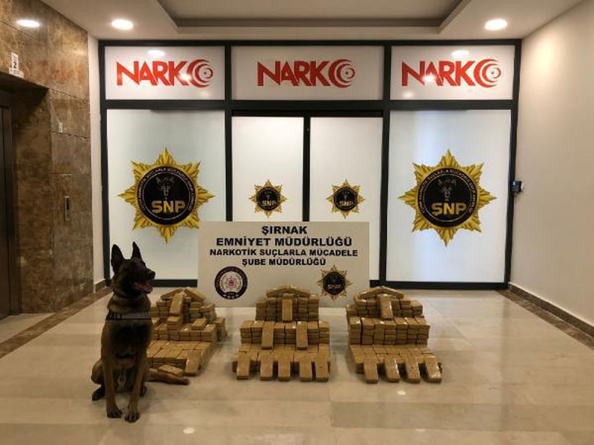 Şırnak\'ta kaçakçılık ve asayiş operasyonları: 68 gözaltı
