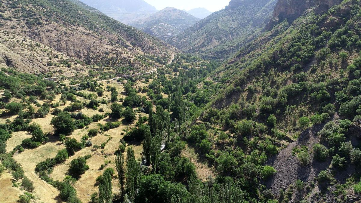 Son dakika! Terör bitti köylere geri dönüşler hızlandı