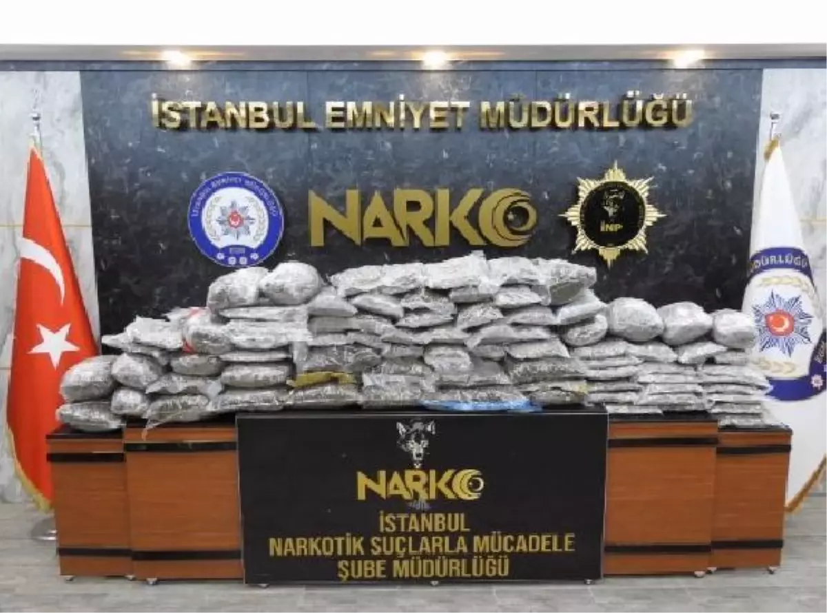 \'ALEX\' TIR\'IN DORSESİNDEKİ UYUŞTURUCUYU BÖYLE BULDU