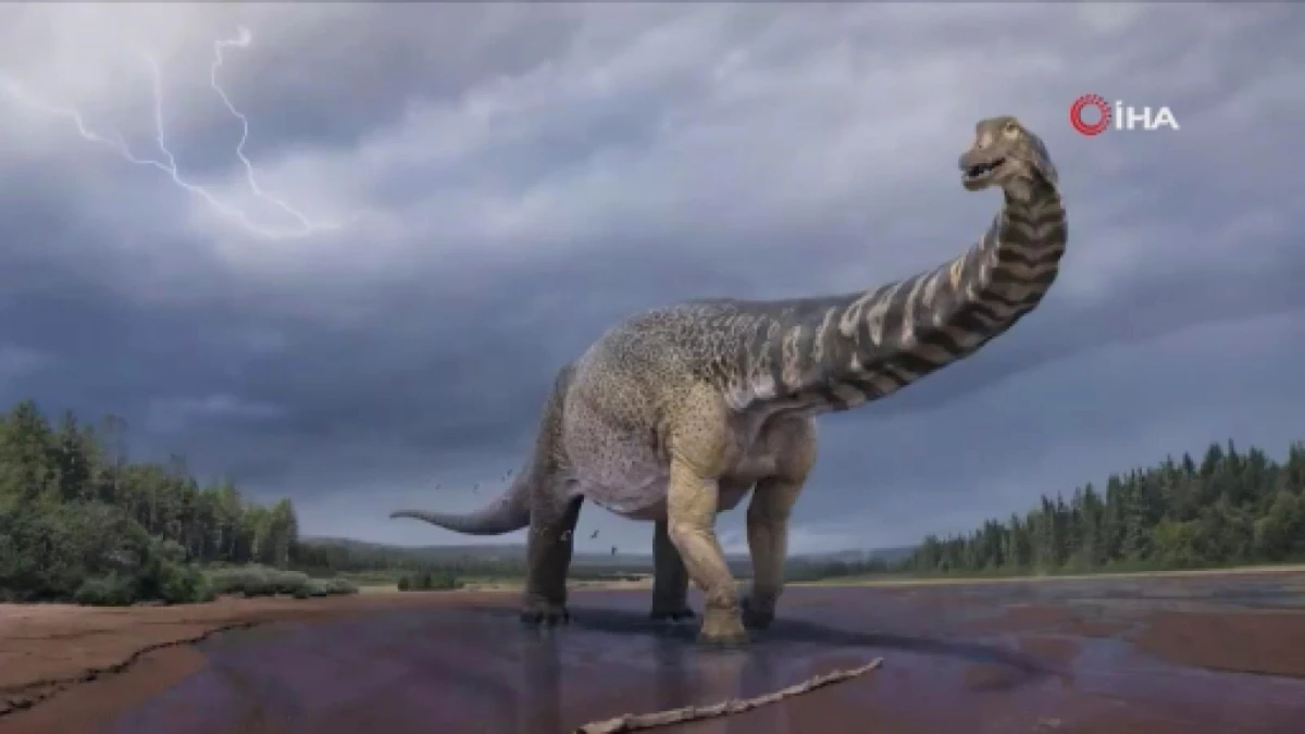 Avustralya\'da kıtanın en büyük dinozoru keşfedildi