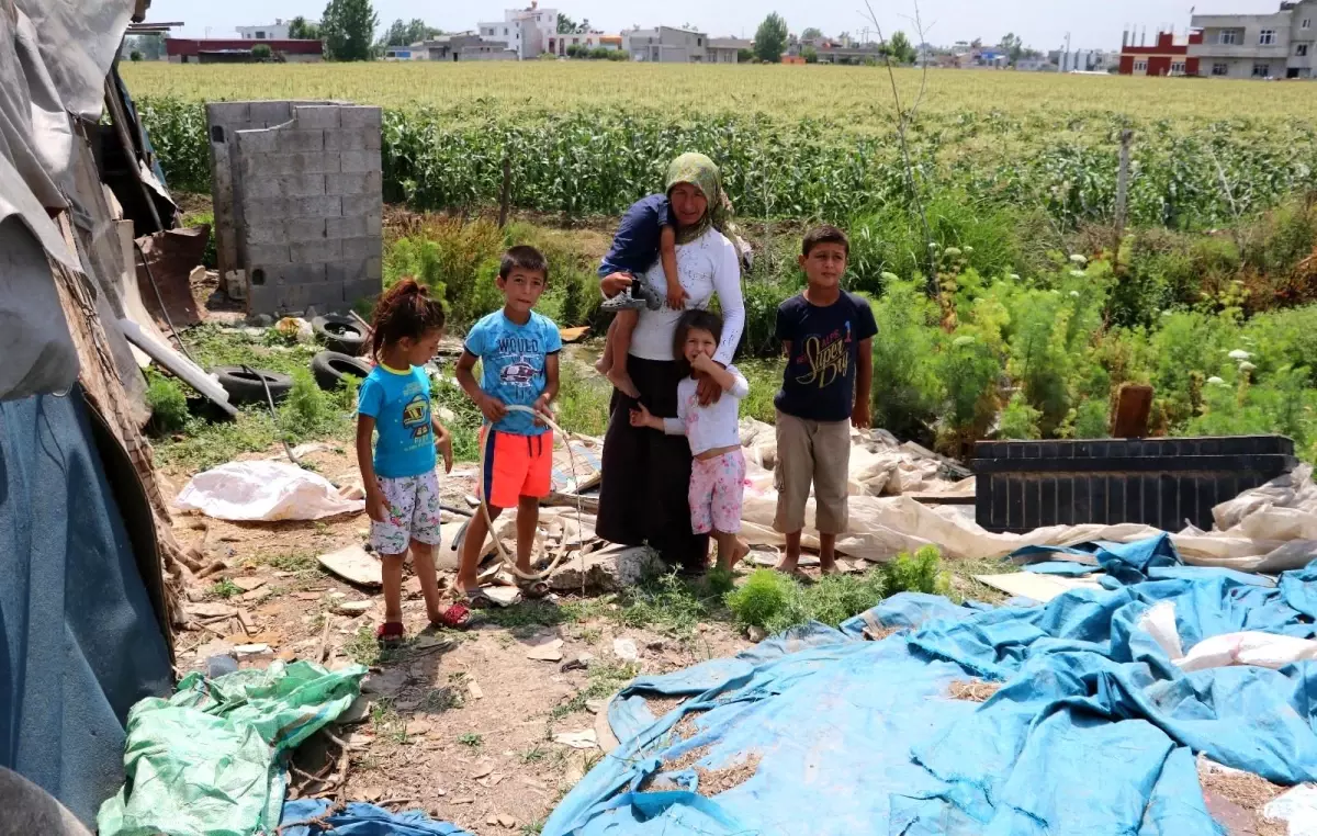 Kaçak su kullanıp, çadırda yaşayan tarım işçisi aileye 7 bin lira borç geldi