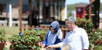 Girişimci çift 'kule saksı' yöntemiyle daha az su kullanarak çilek üretimini artırdı