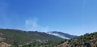 Son dakika haberi | Görese Dağı'ndaki orman yangını 5'inci günde de sürüyor