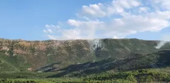 Görese Dağı'ndaki orman yangını 5'inci günde de sürüyor (2)