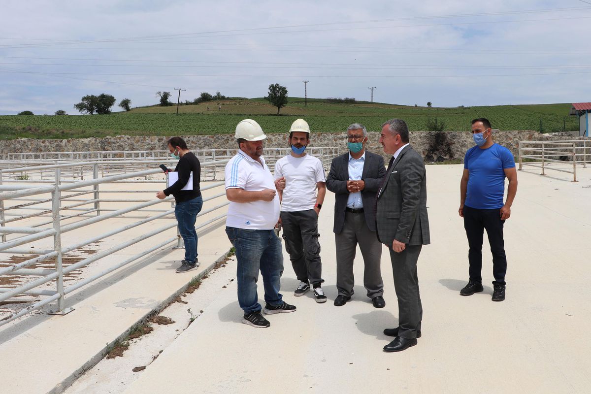 Havza\'da yaklaşık 2 milyon liraya mal olacak canlı hayvan pazarı modernizasyon çalışmaları başladı