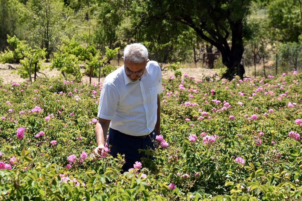 ITSO Başkanı Tutar: "Isparta kozmetikte lider olmalı"