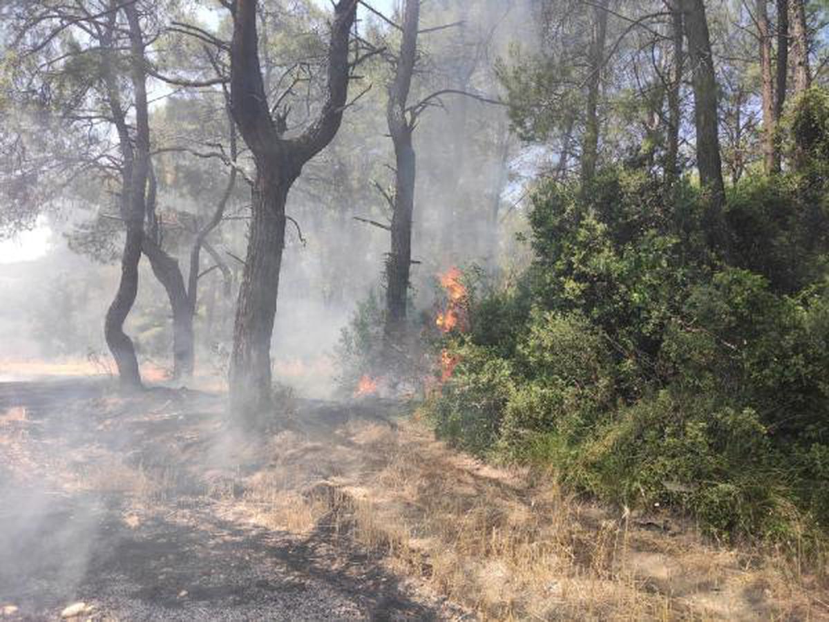 Karatepe Milli Parkı\'nda orman yangını (1)