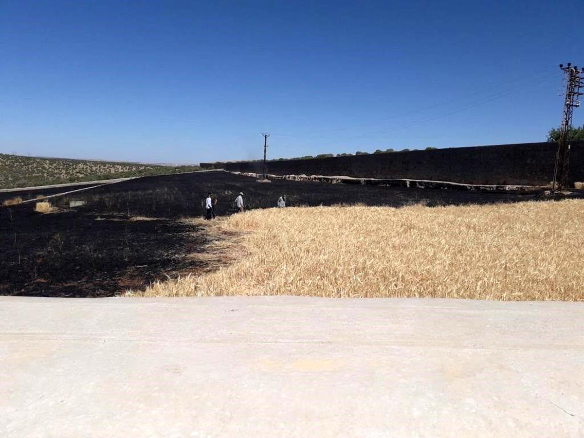 Manastıra ait 19 dönüm arpa yandı
