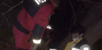 Manzara seyretmek isterken, uçuruma yuvarlandı