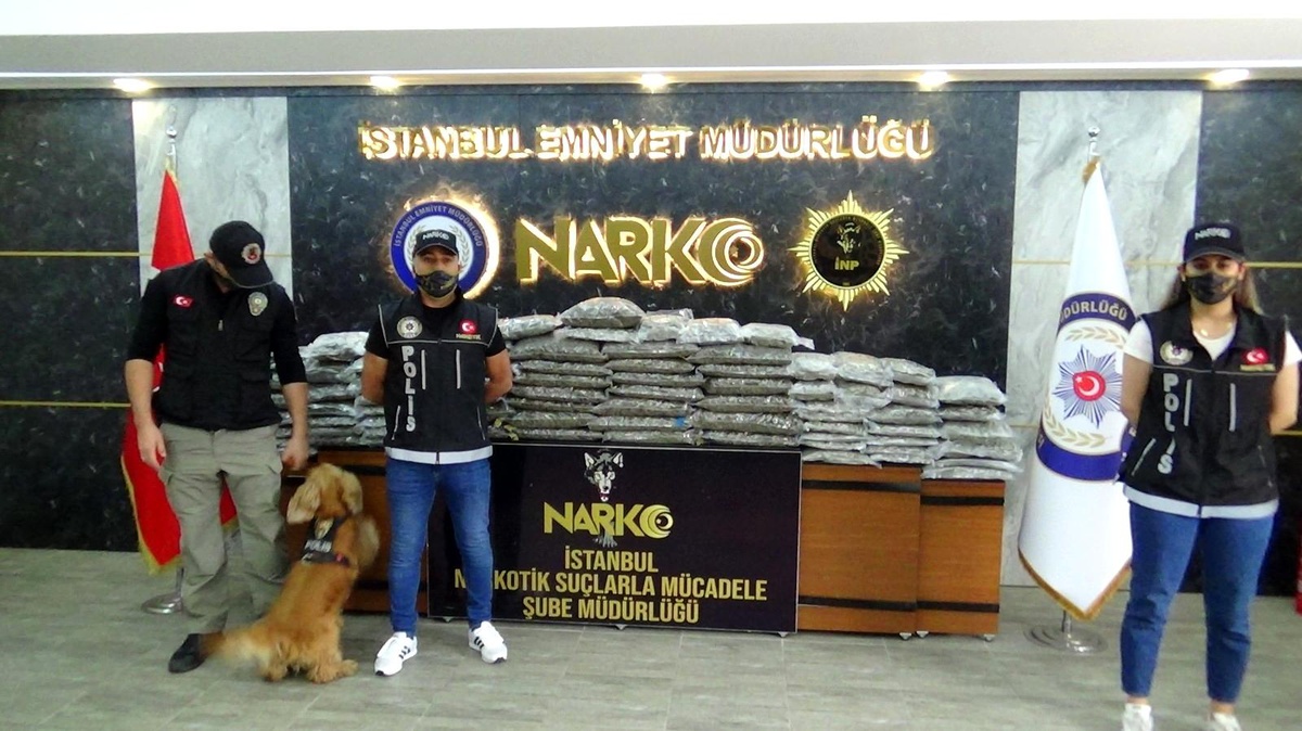 Narkotik köpeği \'Alex\' tırda 60 kiloya yakın uyuşturucu buldu