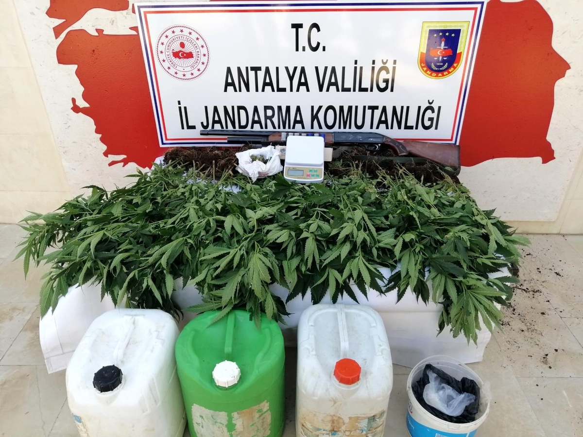 Ormanlık alana ektiği kenevirleri sularken yakalandı