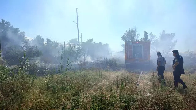 Samandağ'da seralar son anda yanmaktan kurtuldu Samandağ'da seralar son anda yanmaktan kurtuldu