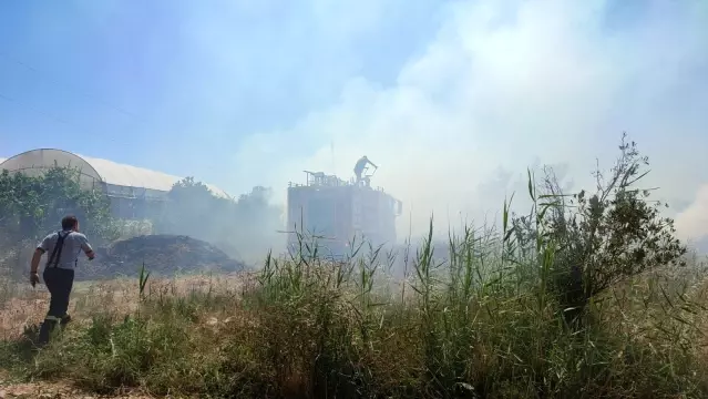 Samandağ'da seralar son anda yanmaktan kurtuldu Samandağ'da seralar son anda yanmaktan kurtuldu