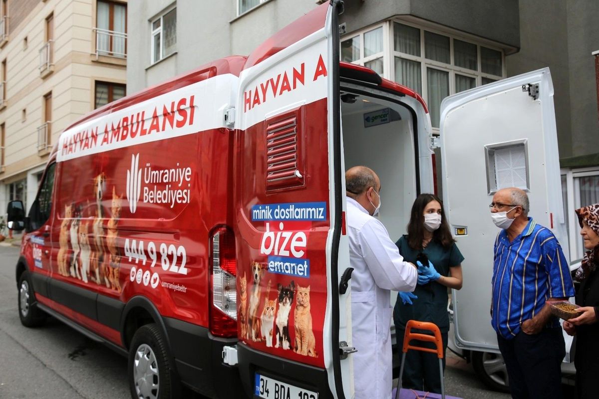 Son dakika haber... Ümraniye\'de hayvan ambulansı hayat kurtarıyor