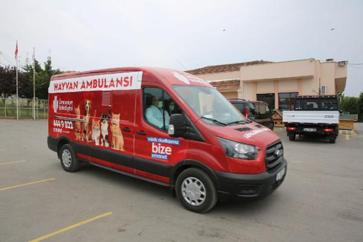 Ümraniye\'de tam donanımlı hayvan ambulansı dönemi