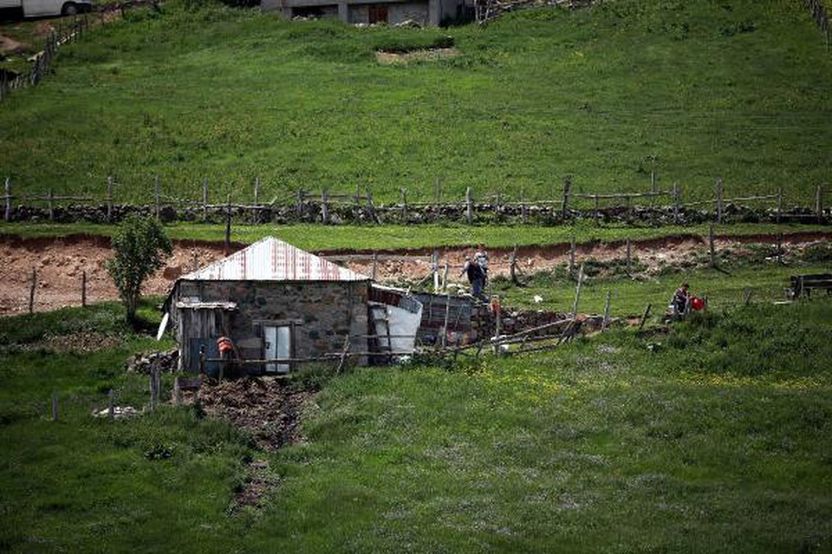 Vaka düşüşü en çok Gümüşhane\'de