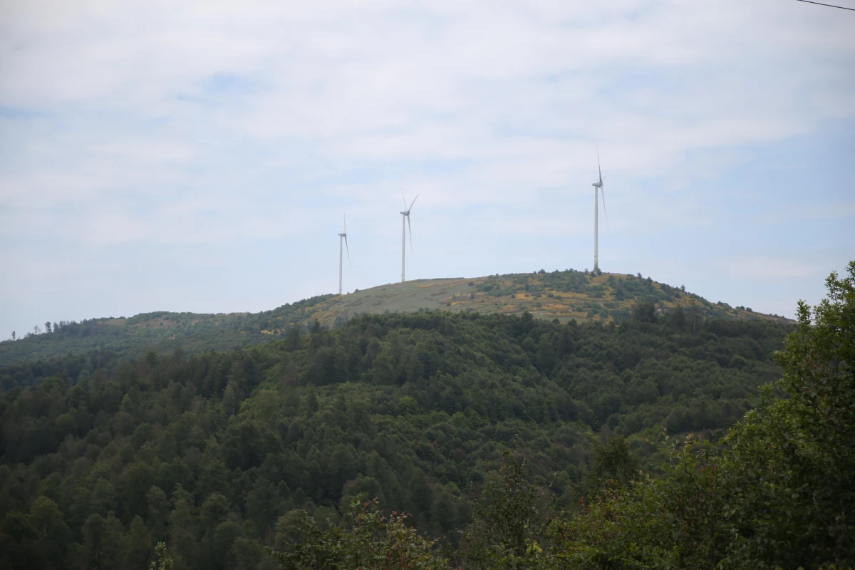 Akkuş\'a kurulan rüzgar enerji santrali günlük 12 bin evin elektrik ihtiyacını karşılıyor
