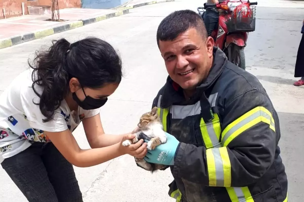 Araçta mahsur kalan yavru kedi kurtarıldı