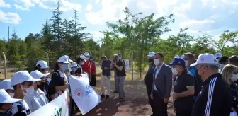 'Çevre Yürüyüşü' yapıldı