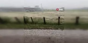 Yenice'de dolu tarlara zarar verdi