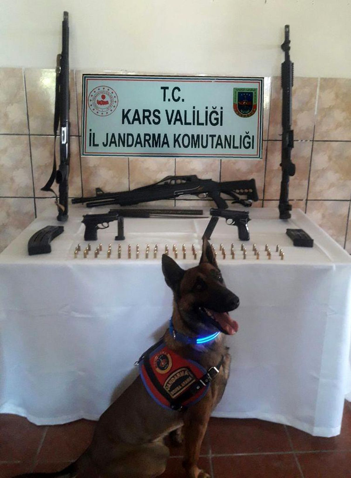 Akyaka\'da jandarma silah ele geçirdi